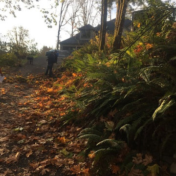 Before Retaining wall building