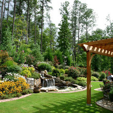 Backyard Landscape