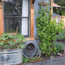 Astuces de pro pour maîtriser l'arrosage traditionnel dans son potager