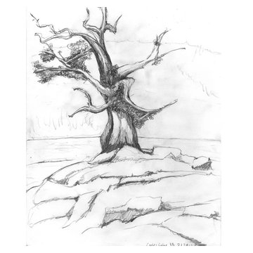 Hand Drawings