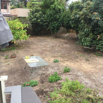Solana Beach Modern Eclectic Landscape Redesign