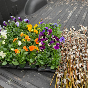 Spring Container Flowers and Cuttings