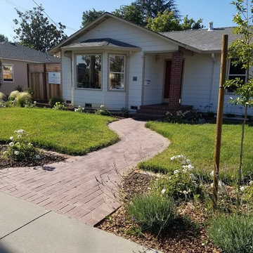 Backyard Revamp