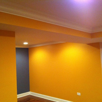 Chicago Suburbs basement