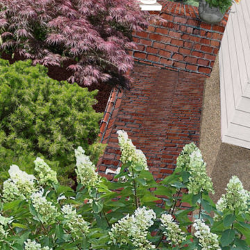 Foundation Plantings