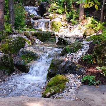 Woodland Falls