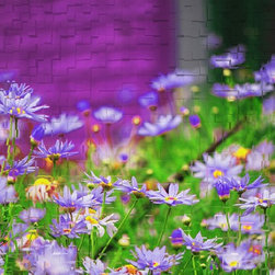 Fine Art Photography - Digital paintings - Products