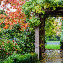 Landscape Ideas
