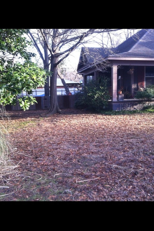 I need some ideas and help with this front yard