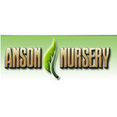 Anson Nursery's profile photo