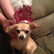 Emily Marshall's photo