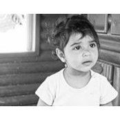 Halit Shitrit's photo