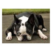 Lee Ann Richards's photo
