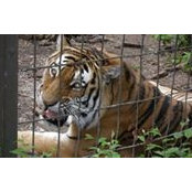 Paul Bauder's photo