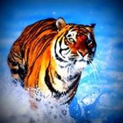 Foto di Bali Jaswal