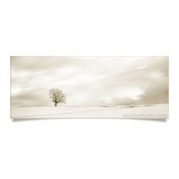 Tree Sepia Collection - Prints And Posters