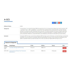 recombinant a-scs enzyme - Products