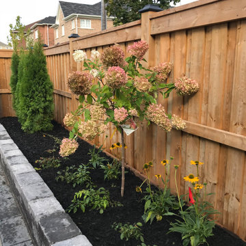 Low Maintenance Gardens