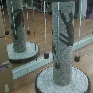 Cat Furniture