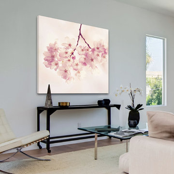 Cherry Blossoms