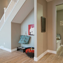 pet area