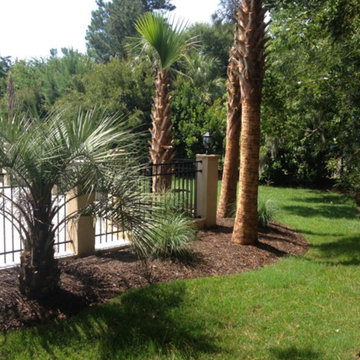 Palm Tree Gallery