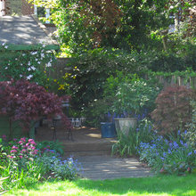 Garden ideas