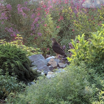 Entry landscape and oak tree preservation
