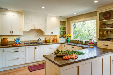Transitional kitchen photo in San Francisco