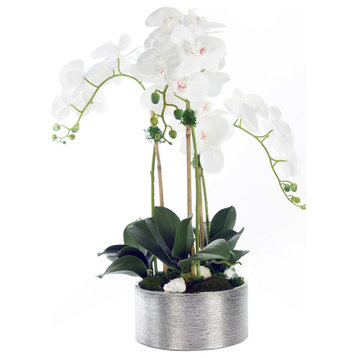 White Phalaenopsis Orchids with Geodes in Round Etched Pot