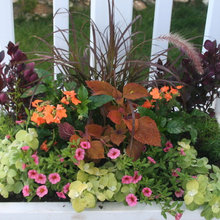 Garden ideas