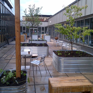 Downtown Toronto rooftop courtyard