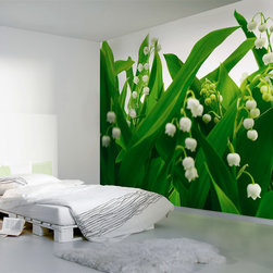 National Geographic Murals - Wall Decals
