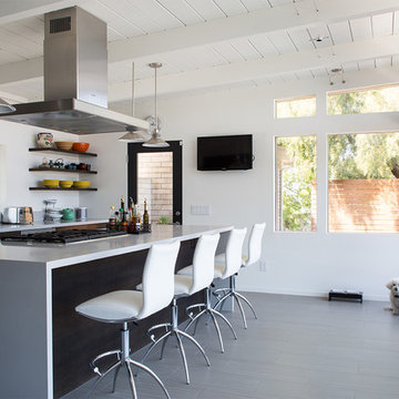 Midcentury Modern View Home Remodel