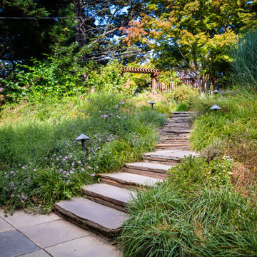 Grassy Meadow Oasis - Reduces Waste While Increasing Habitat