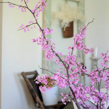 branches