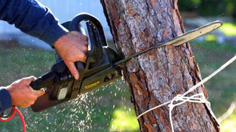 Best 15 Tree Trimming Removal Services In Louisville Ky Houzz