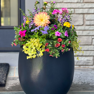 Summer Containers