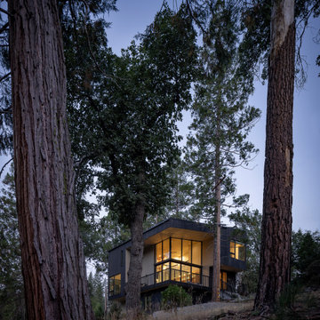 Yosemite Cabin