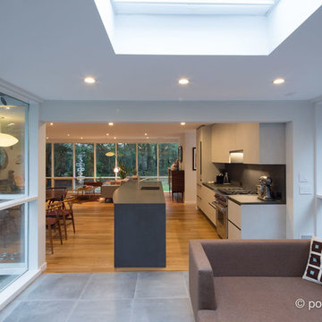 Kitchen in Midcentury Home