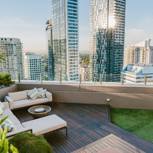 Rooftop Garden