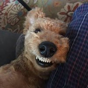 Jason Hayes's photo