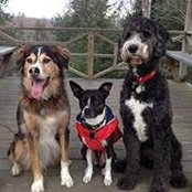 Jodi Weiner's photo