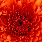 Michelle B's photo