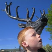 Cameron Court's photo