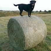 Suzi Checkley's photo