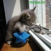 Nicholas Teo's photo