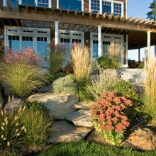 Cabin landscaping