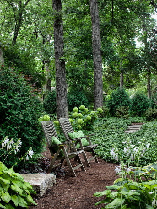 Shade Landscaping | Houzz