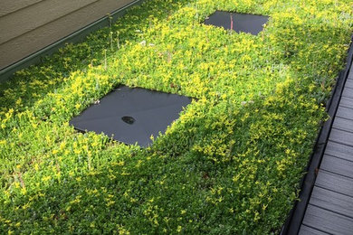 This is an example of a partial sun landscaping in Other.